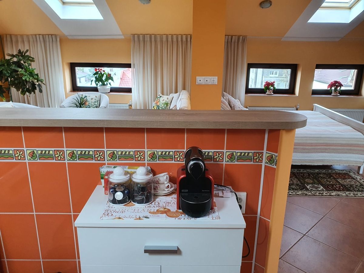 Studio 60mp - Mansarda Complet Utilat - Dorobanti - Poză 15