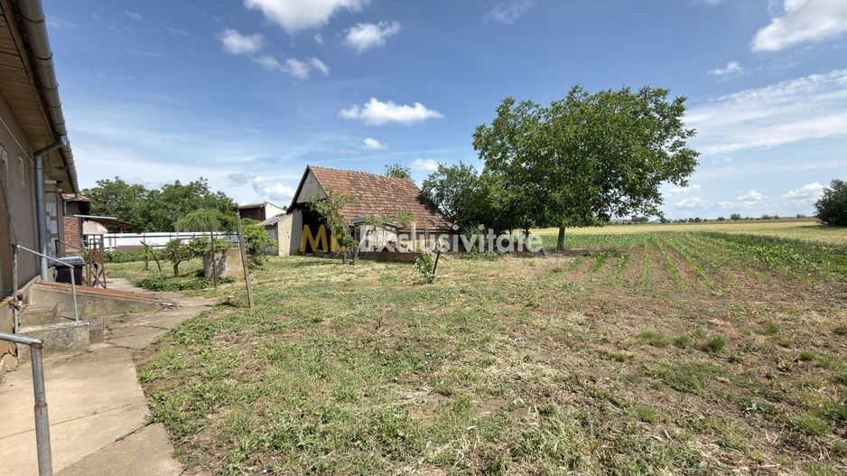 Casă 4 camere, Teren 1955 mp Str. Vezendiului Nr. 366 - Loc. Petrești, Satu Mare - Poză 15