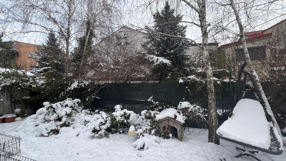 Vila Damaroaia - langa lacul Grivita - Poză 14