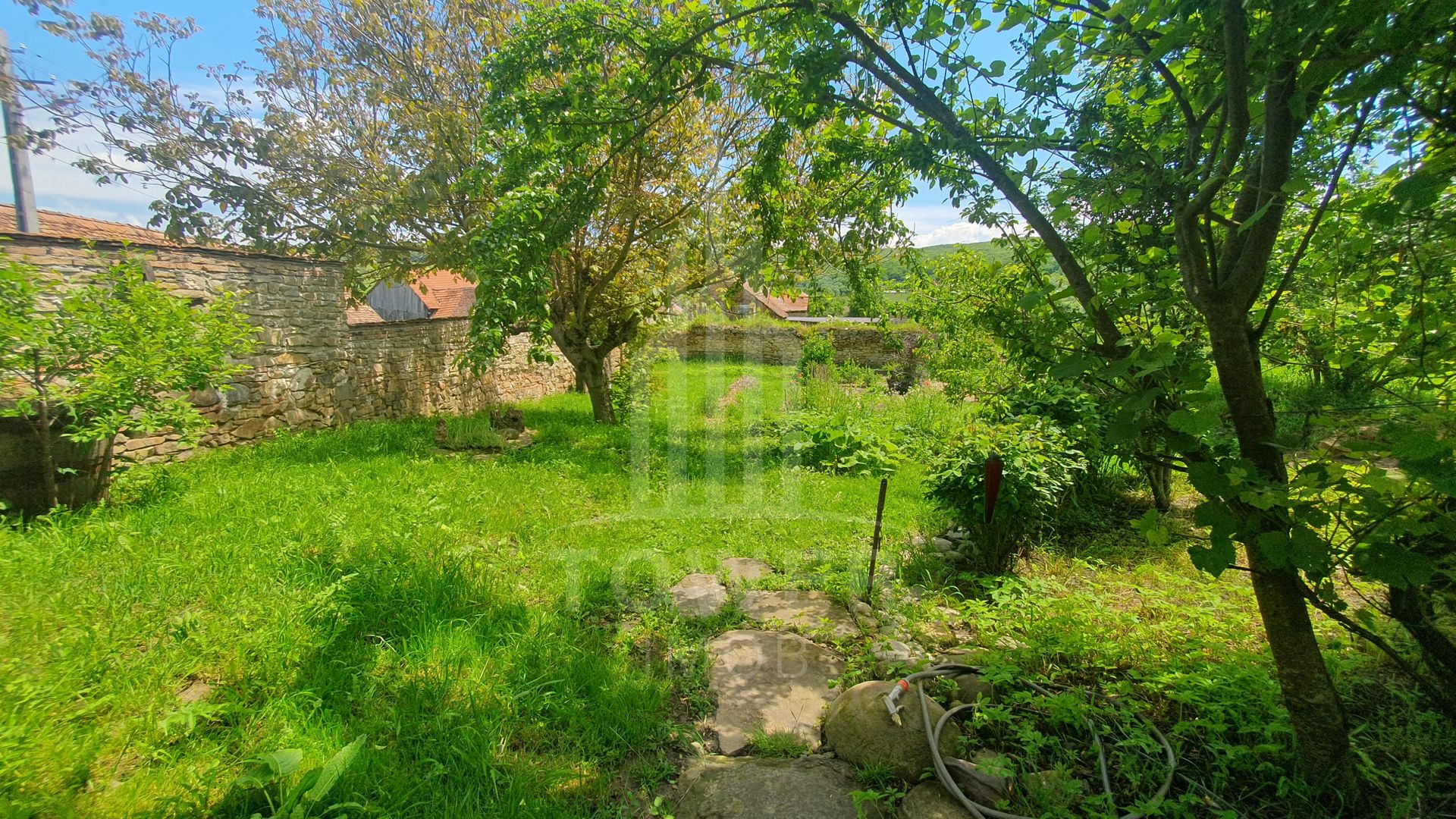 Casa Saseasca de vanzare  in  Somartin  / Comision O % - Poză 26