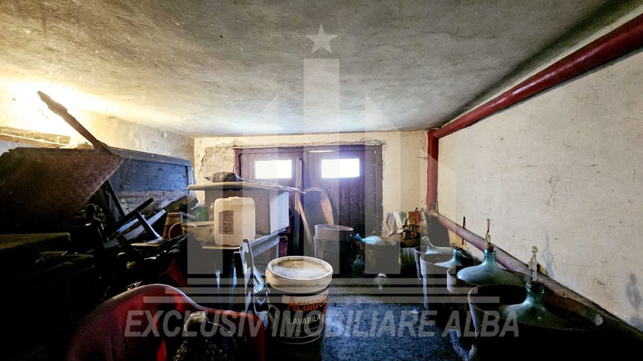 Casa individuala de vanzare, Cetate - Poză 13