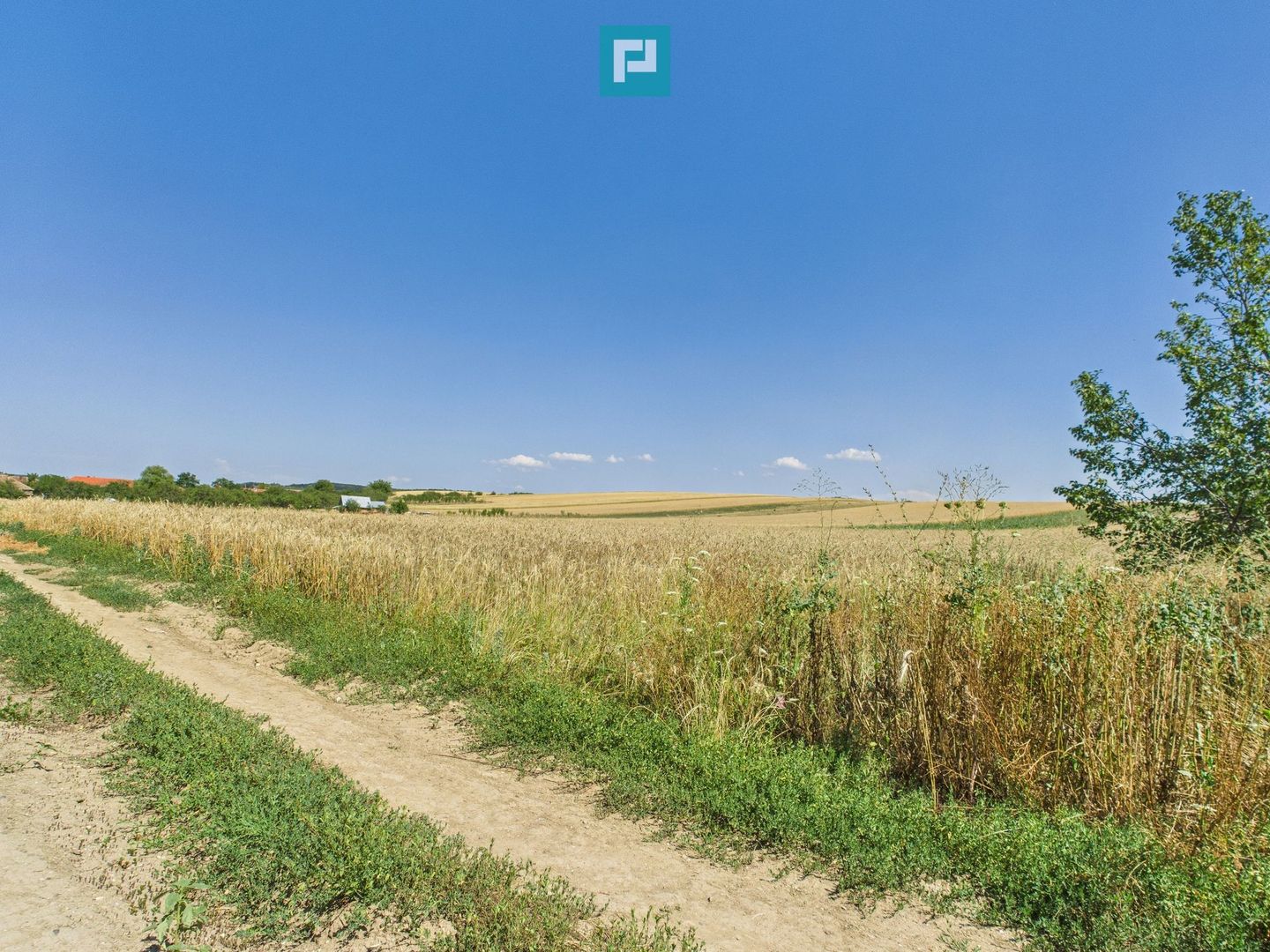 Teren intravilan + extravilan în Remetea Mică - Poză 5