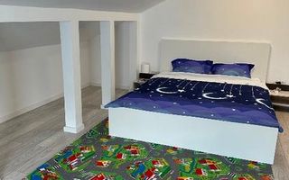 2 vile in Duplex - 10 camere Otopeni central business opportunity - Poză 8