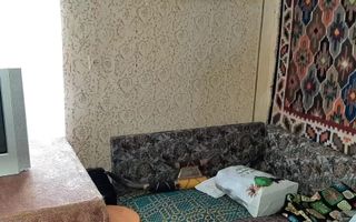 CASA 3 CAMERE, TEREN 5000 MP, RUCAR, ARGES - Poză 6