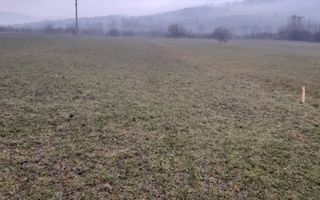 Teren 1698 mp-ideal investitie-Dumitrita, 15 km de Bistrita - Poză 2