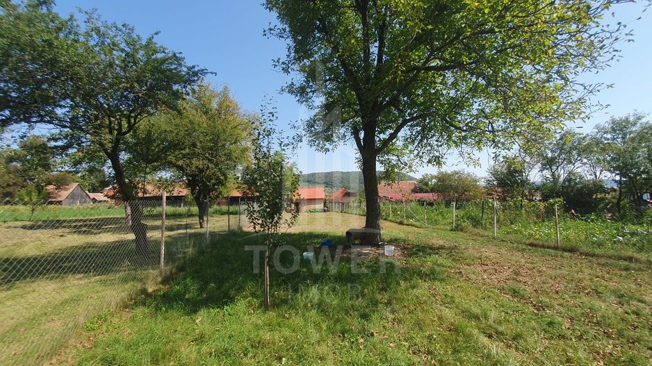 Casă spațioasă de vânzare în comuna Roșia .COMISION 0% - Poză 1