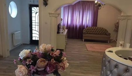 Oportunitate Unică! Vilă Spațioasă lângă Podul Grant, Ideală pentru Birouri