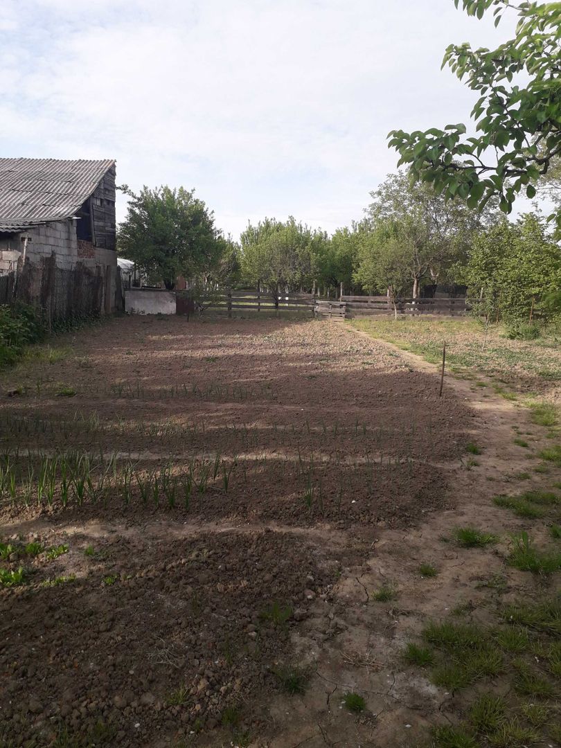 Vând casă cu teren mare 33,3 ari zona Baritiu - Poză 7