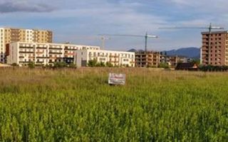 Teren Tractoru-1000 mp - Poză 2