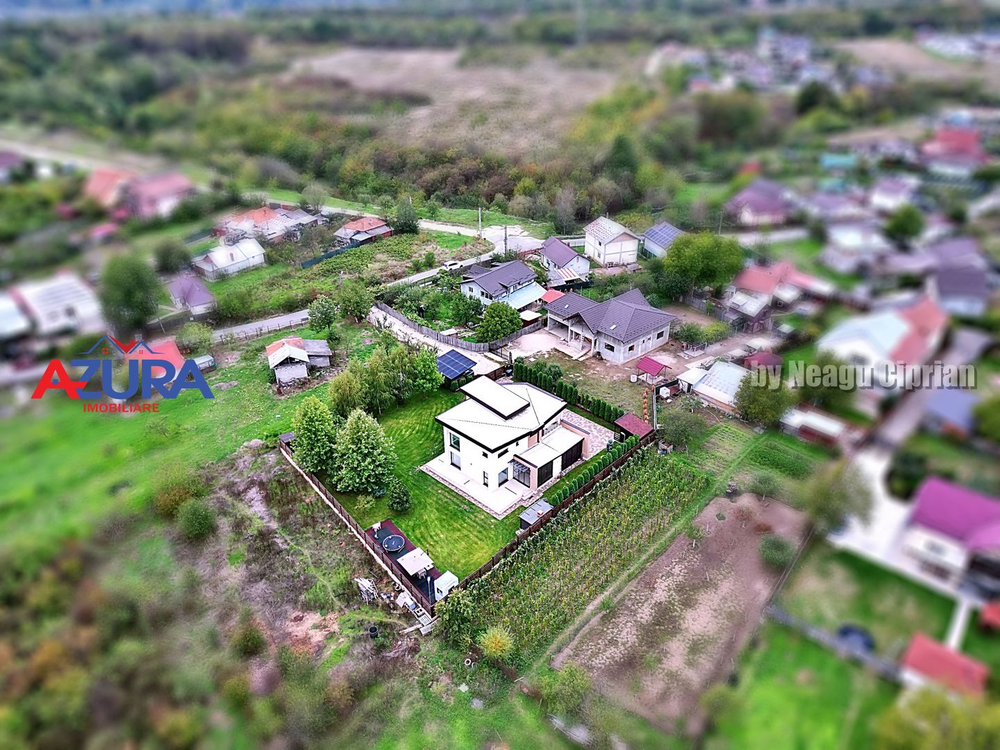 AZURA Imobiliare - Vila de Lux langa Pitesti - Poză 3