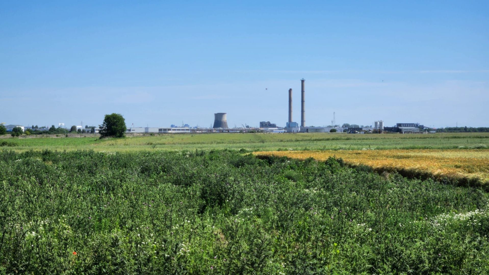 Teren Sag_zona Centura Sud - Poză 1