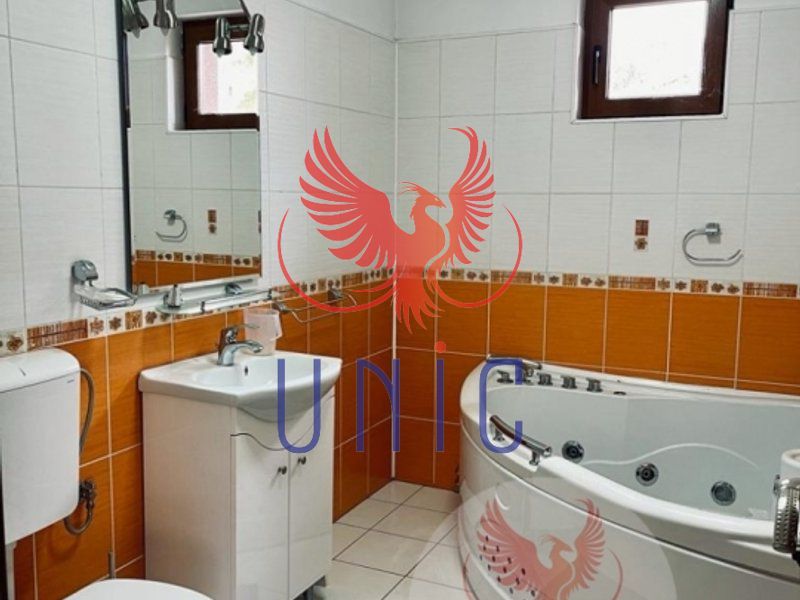 Super pret - Vila P+E+M, Lapus-Arges - Poză 19