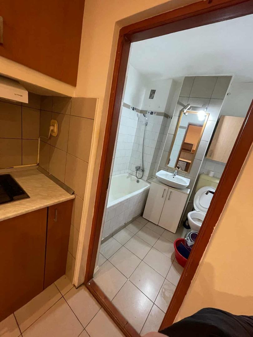 Apartament 1 camera Parcul Botanic  -  Iulius Mall - Poză 7