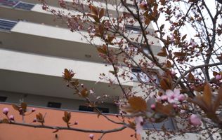 2 camere | Ansamblul Rezidențial Iris – Zona Torontalului | loc parcare acoprit