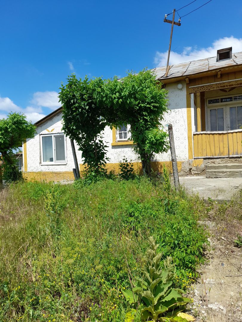 Casă cu teren de 1.470 mp de vânzare – Fântânele, Scânteiești - Poză 44