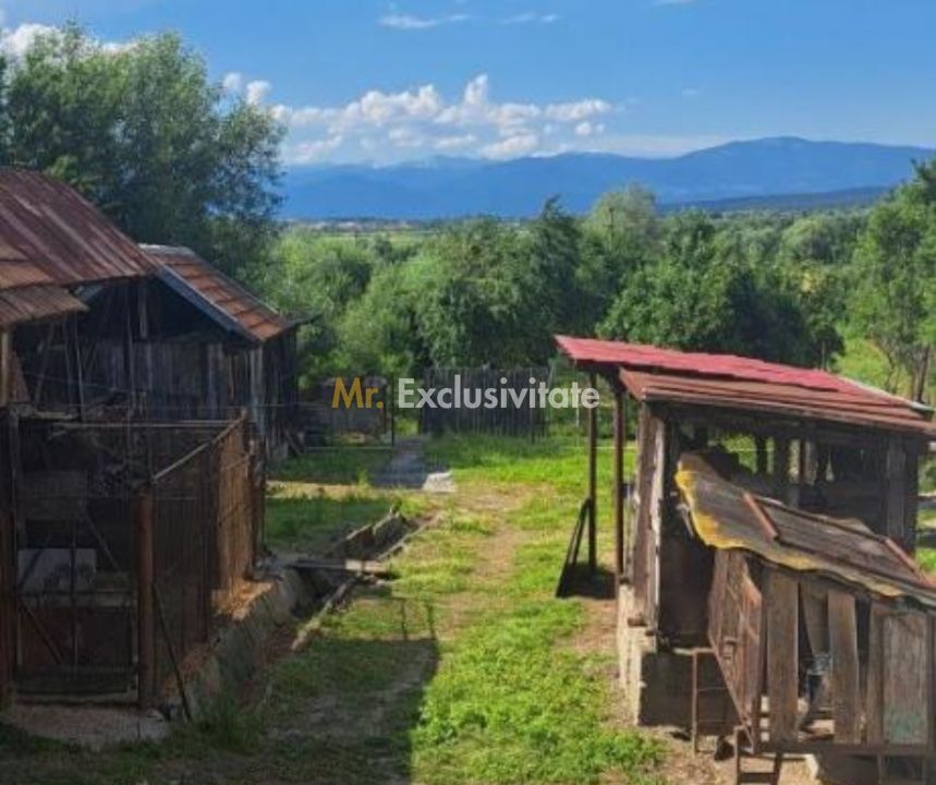 Proprietate cu potențial turistic și agricol | 7.661 mp|Șomanești-GORJ - Poză 7
