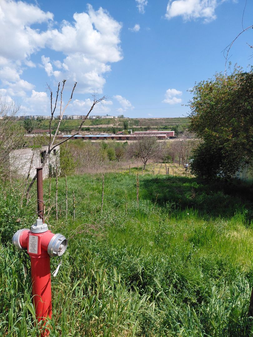 Teren intravilan 3.250 mp în Filești – Ideal pentru casă sau investiție! - Poză 13