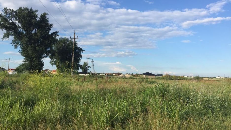 Teren intravilan in comuna Domnesti - sat Teghes - Poză 5