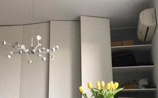 AP. 2 CAMERE FLOREASCA, PET-FRIENDLY, CENTRALA PROPRIE, MOBILAT MOERN - Poză 2