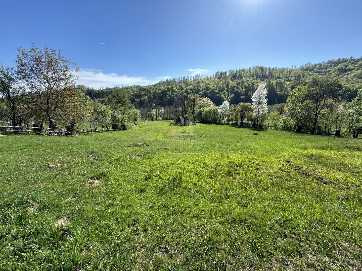 TEREN INTRAVILAN 2592 MP,  ALBESTI DE MUSCEL, ARGES - Poză 1