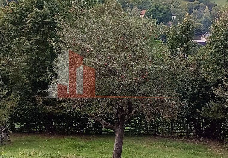 Teren intravilan 1.300 mp | Vedere Piatra Craiului | Bran Poarta - Poză 8