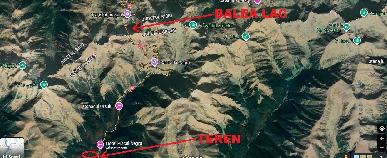 TEREN EXTRAVILAN PADURE PISCUL NEGRU ARGES - Poză 7