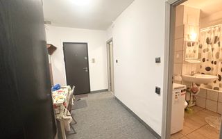 Apartament spațios cu o cameră I Sagului - Poză 6