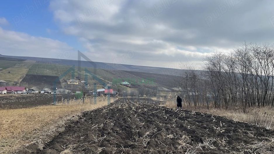 6.000 mp intravilan sat Avintu - Poză 4
