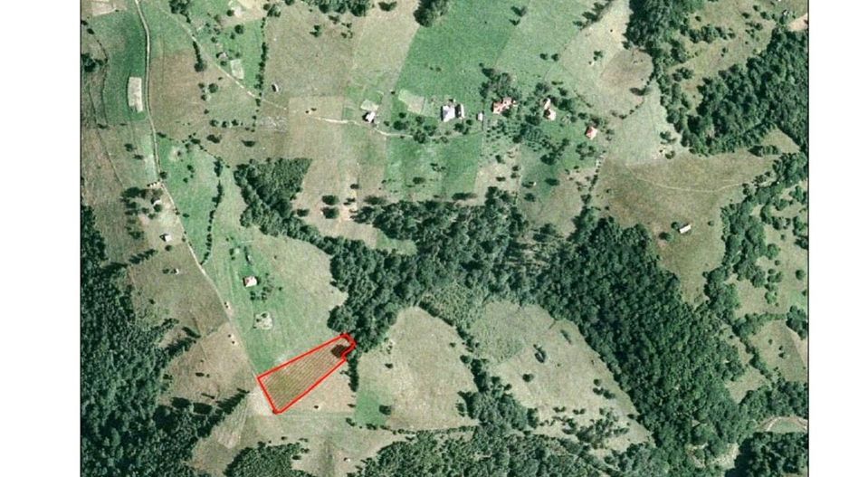 Teren pe platoul satului Pestera - Poză 4