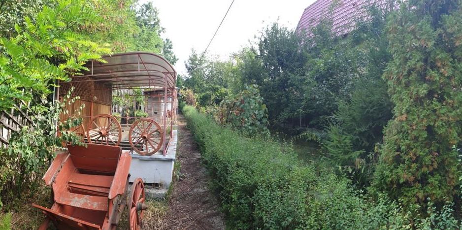 Casa de vacanta, zona Delea-Copou; - Poză 2