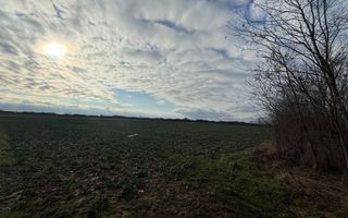 Teren 6600MP Cu Front Stradal 101 M La Intrare in Lazuri Str Botizului - Poză 3