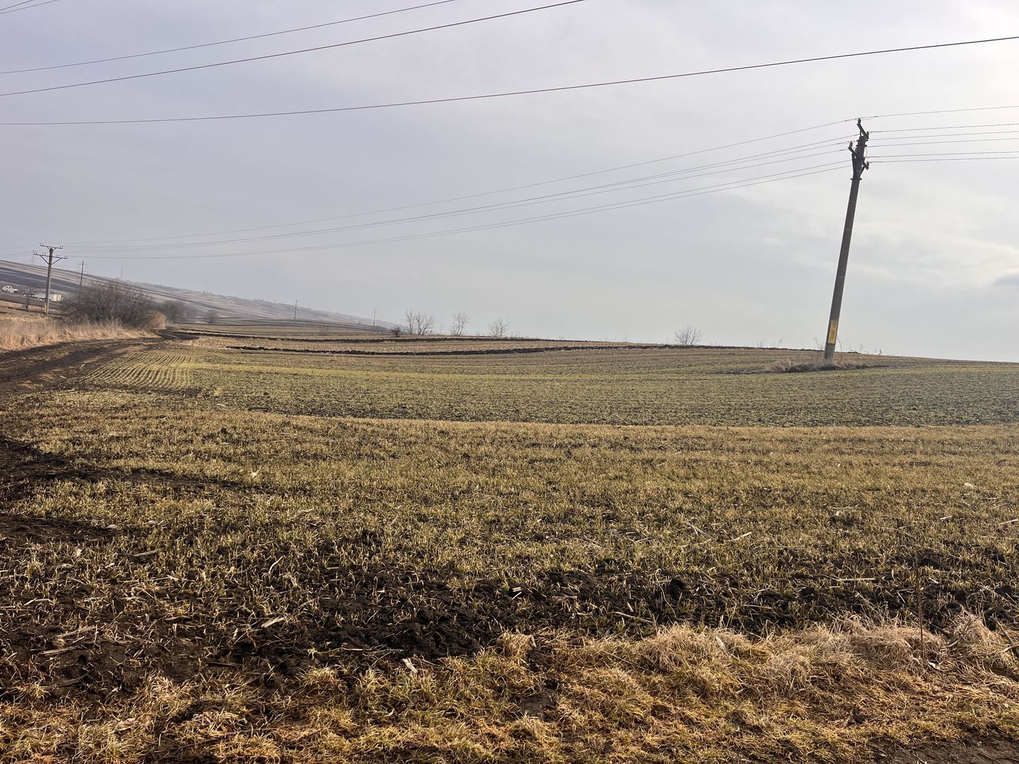 Teren Intravilan de Vânzare 33 Ari | Suceava/Ipotesti I 82.500 Euro - Poză 5