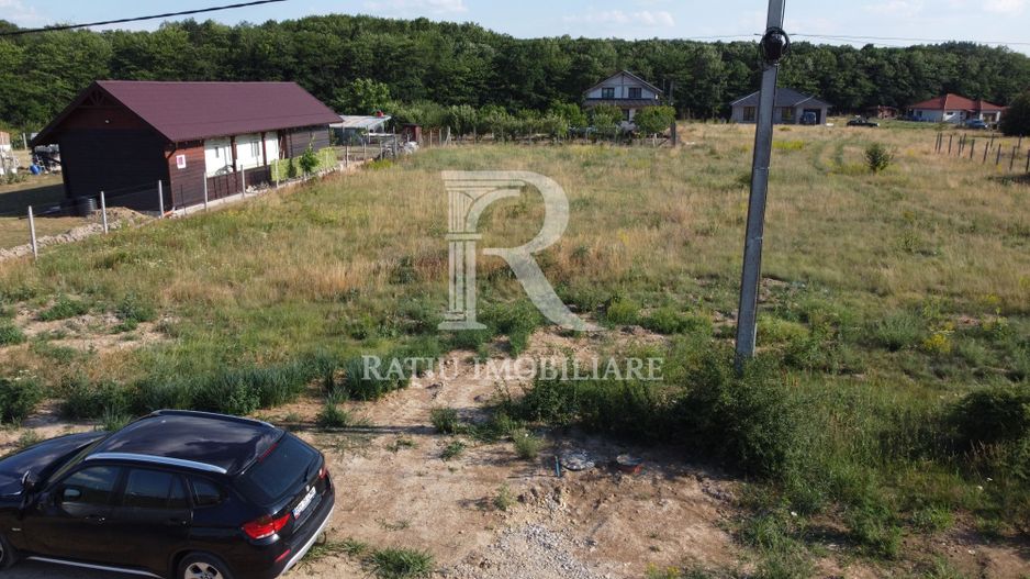 Teren Intravilan 1.111 mp | Utilități la Teren | Alparea | Bihor - Poză 2