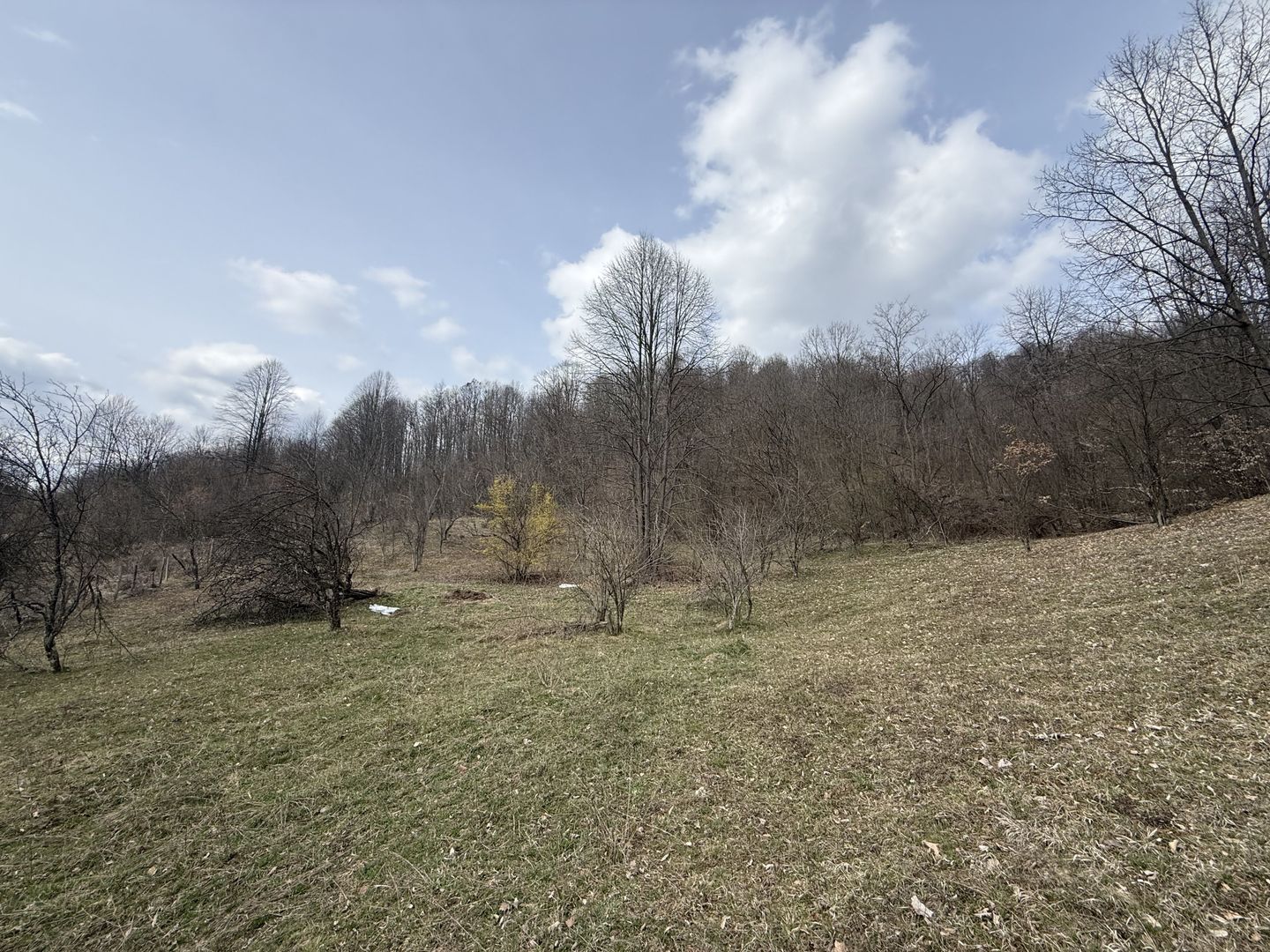 Teren 6040 mp la baza pădurii deschidere 40 ml - Poză 3