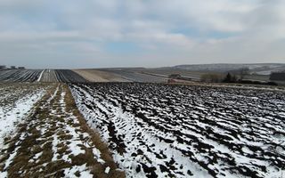 Teren 991 MP | Moara Nica | 22 ml Deschidere | Utilități | 38.000 € - Poză 8