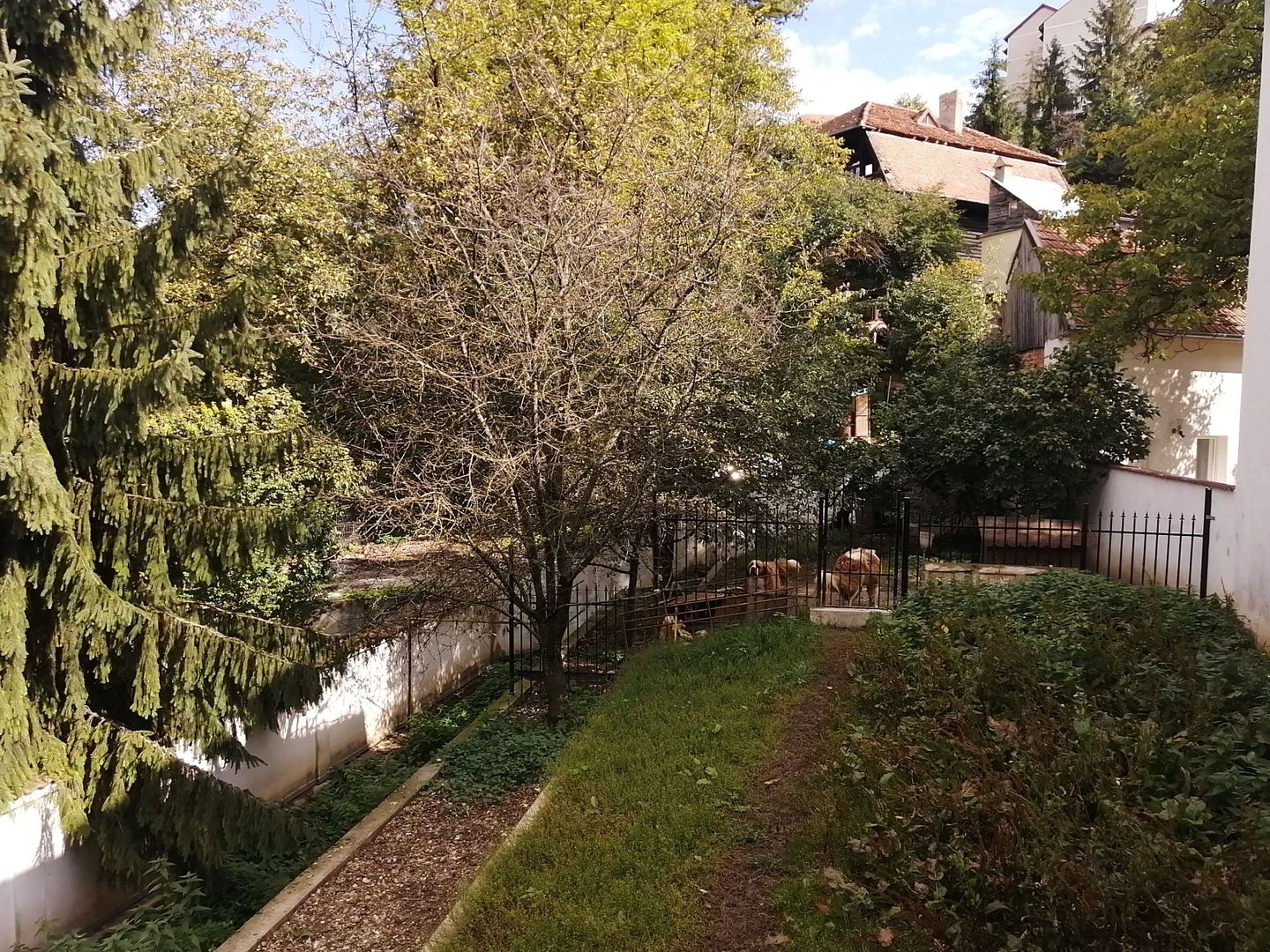 Casa in zona Sirul Livezii - Roata Norocului - Poză 18