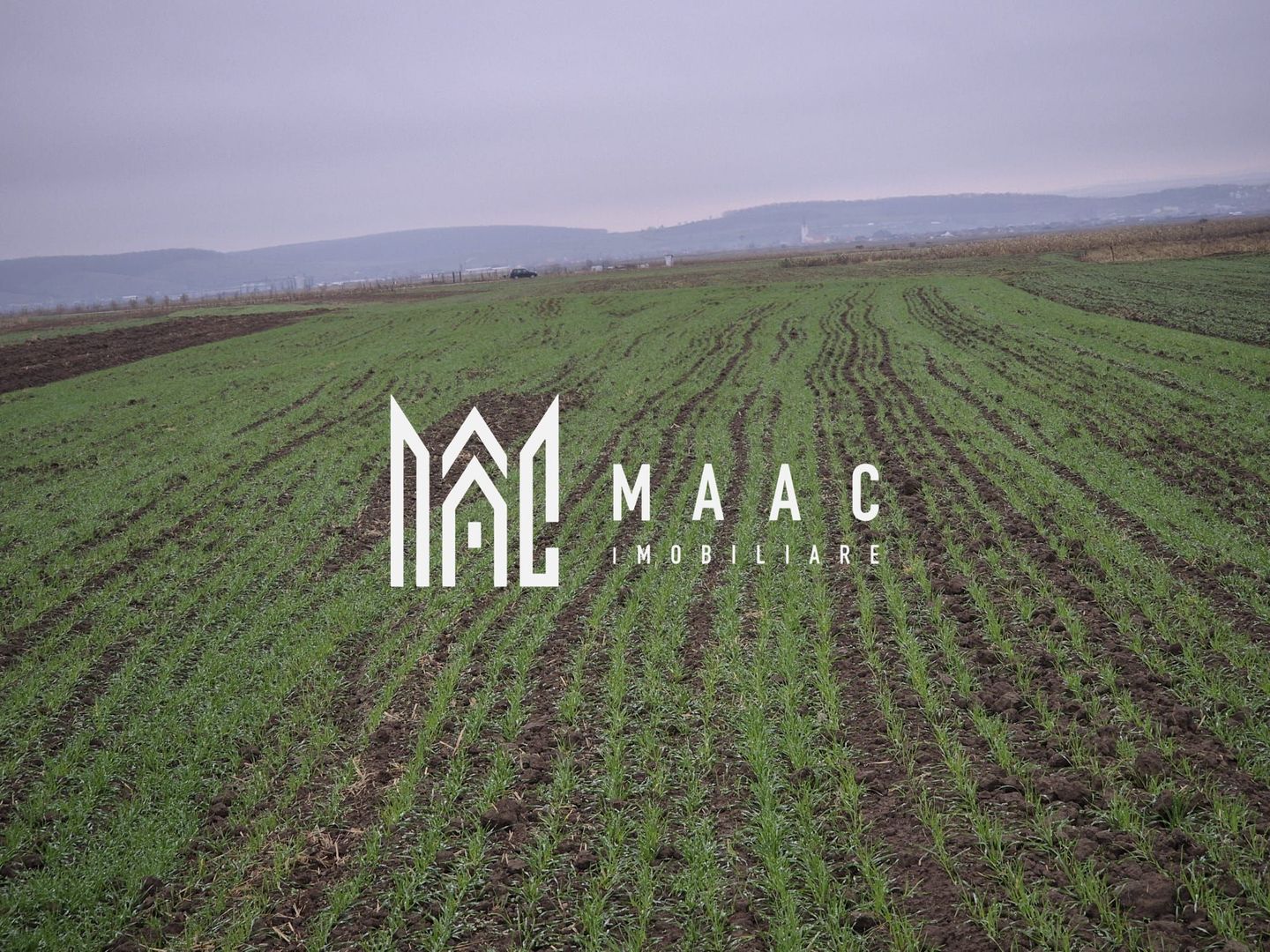 Teren extravilan | Gura raului | 2250 MP - Poză 2