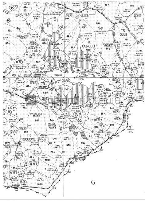 Sapient | Teren forestier și pășune alpină - Maramureș - Schiță 2