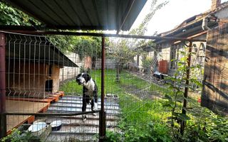 Casa de vanzare | Piata Cibin | 377 mp teren - Poză 7