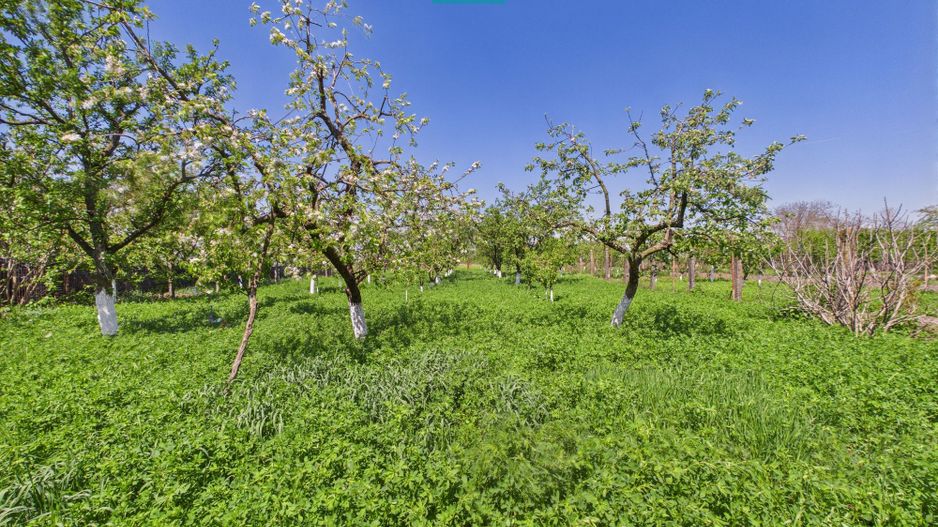 Vilă cochetă 4 camere P+M în Munar - Poză 25