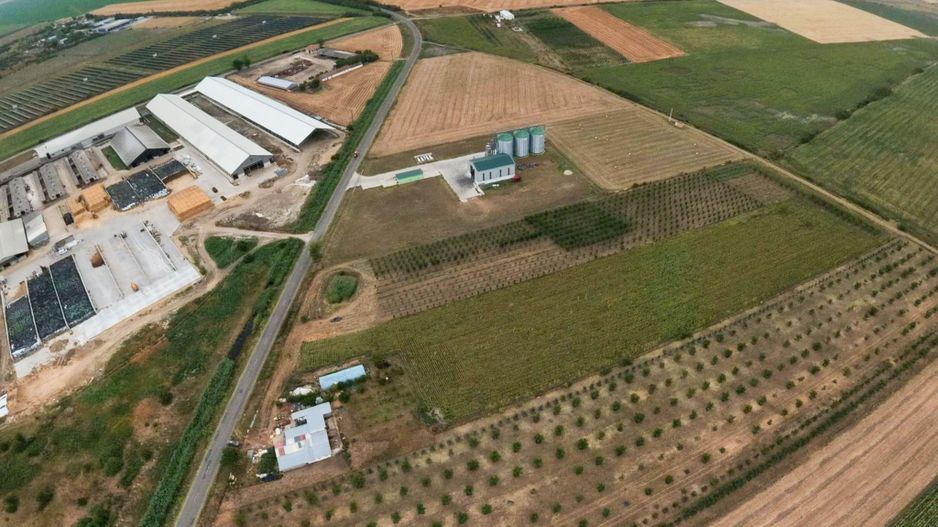 Livadă de 3,6 hectare în Iratoșu – Oportunitate - Poză 5
