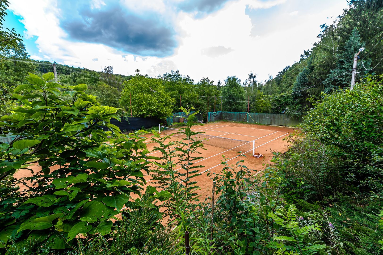 PROPRIETATE VÂNDUTĂ Casă conac cu 15.000 mp deal împădurit la Barațca, - Poză 7