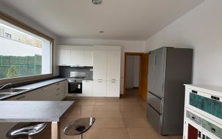Vila de vanzare sau inchiriere zona Iancu de Hunedoara Baneasa - Poză 3