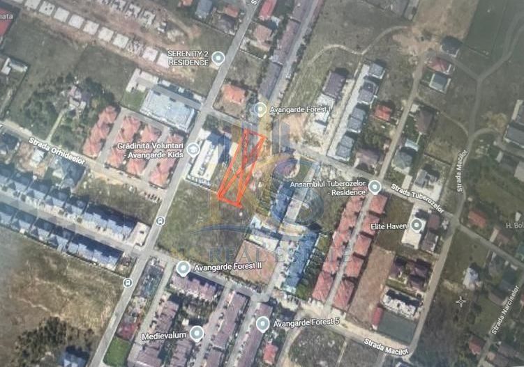 Teren zona Matei Milo I Voluntari - Poză 2