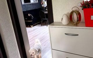 Apartament 2 camere Giroc - Poză 5