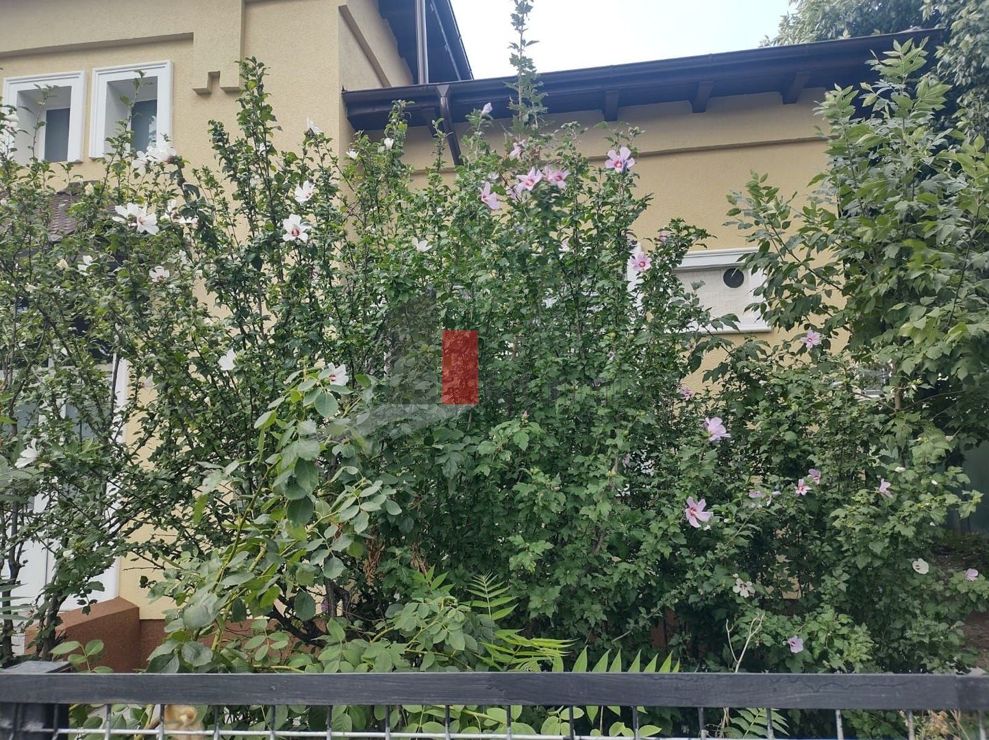 Închiriere casă Șoseaua Progresului - Poză 1