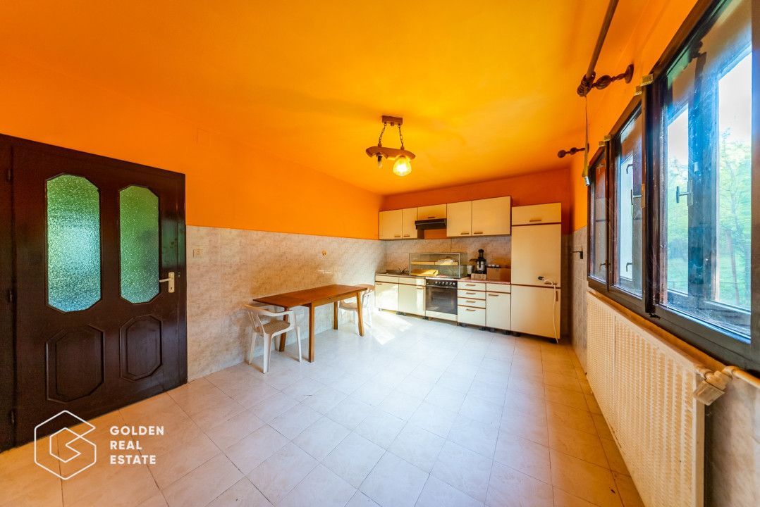 Casa de vacanta, localitatea Cladova, ideal pozitionata - Poză 21