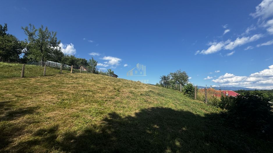 TEREN INTRAVILAN,  SUPRAFAȚA 3446 MP, BUGHEA DE SUS, ARGES - Poză 6