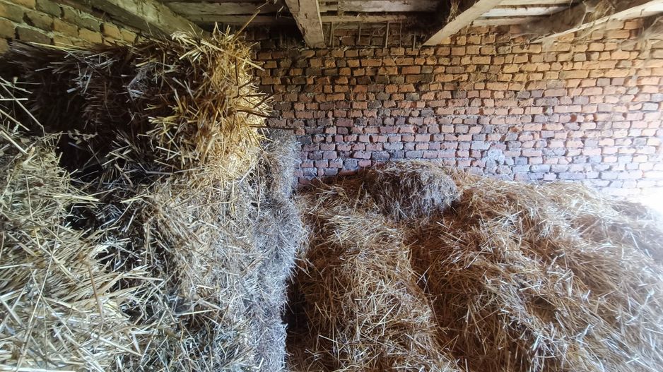 Descoperă căsuța ta de vis la poalele Munților Apuseni - Poză 14