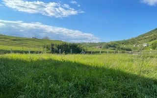 Teren intravilan, Viisoara, 7.57 ari - Poză 3